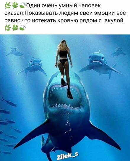 3739a9d3ba07e4fa9f15b213c413482f.jpg