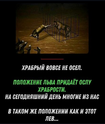 9f3ec581105c7d1a11a7ae0ad49026af.jpg