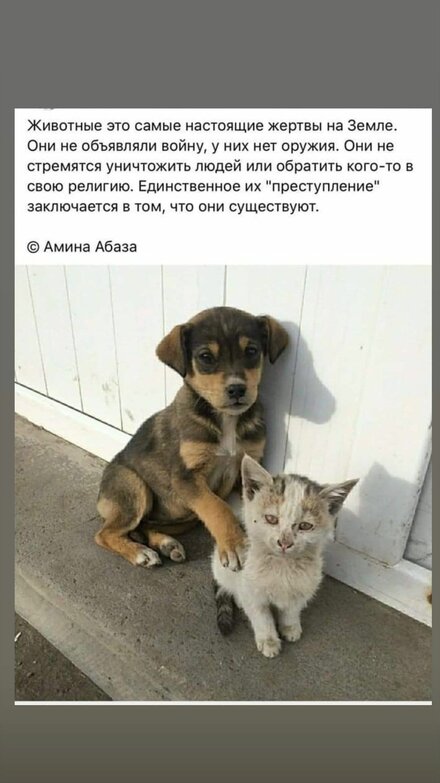 9f65f8b8eaeacdb1e383779234318e19.jpg