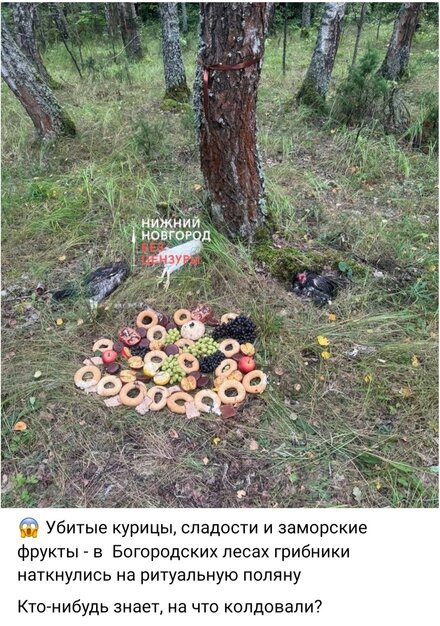 Screenshot_20250822_163901_VK.jpg