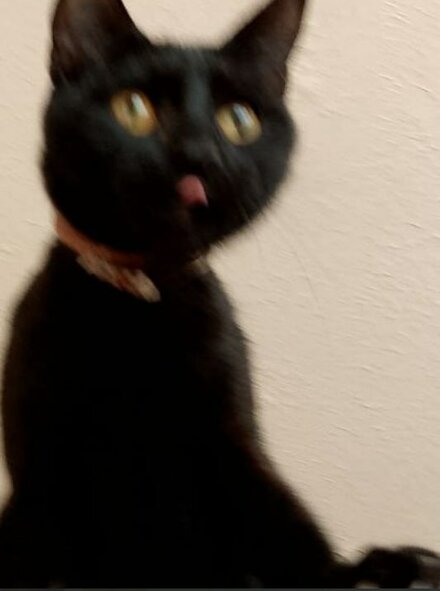 tima.jpg