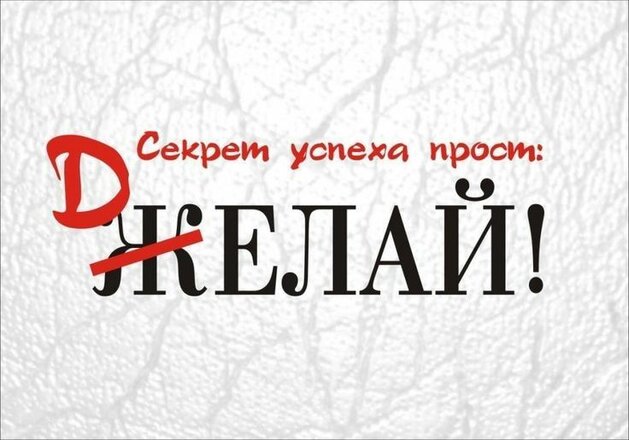 4214301cecd0324331771fb261362868.jpg