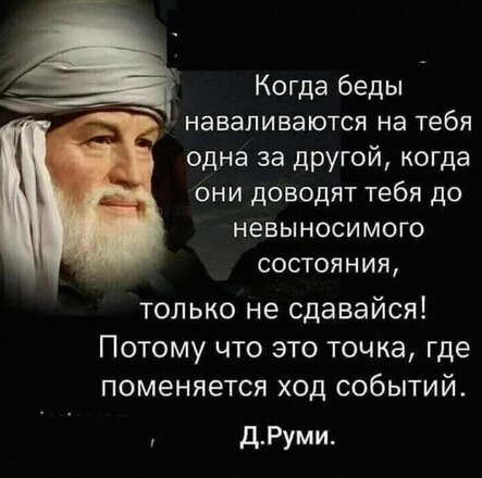 725ed254252838658a3172e8b57e0da3.jpg