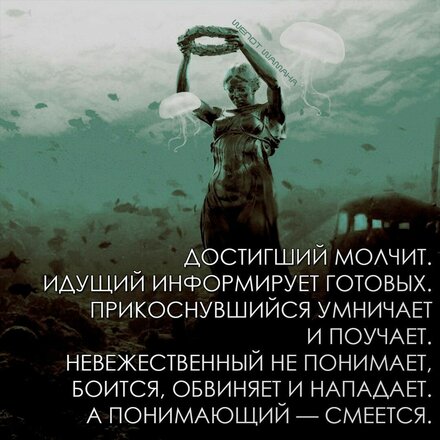 fabf3b23bf73ed59d3f761f4da5eb42c.jpg