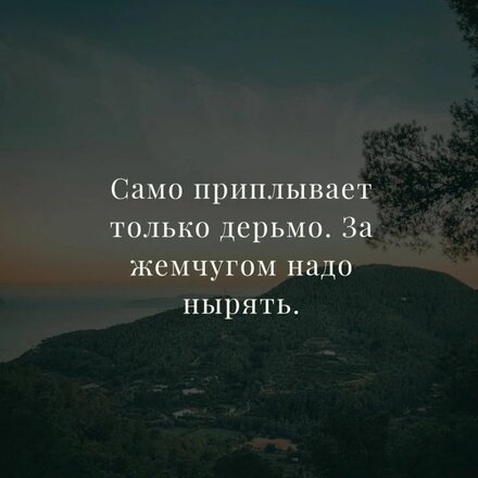 d52423bcc83b4c00f0c93e9e832598a8.jpg