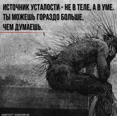 2f295644bca73fa47452dc7b8a893c95 (1).jpg