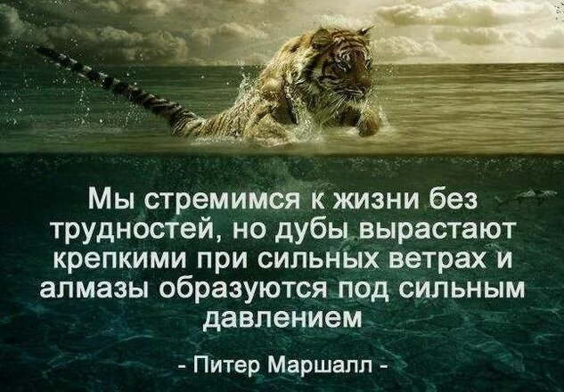 8527b780e3d59d298b681b426507aa57.jpg