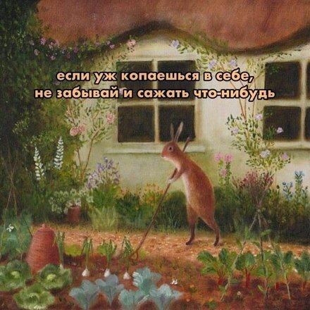IMG_5898.jpeg