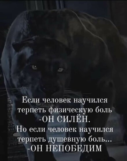 6e9a2d3ca22f5dce9ea05e9bc61b87e1.jpg