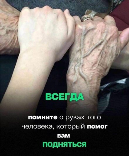a5db444760cc236a57e9fccbd311cc0b.jpg
