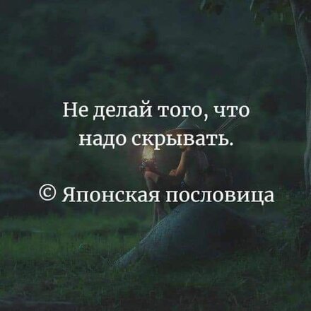 c5bd74920ee2675c314db95f87d49893.jpg