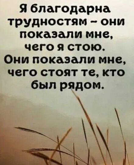 1000011933.jpg