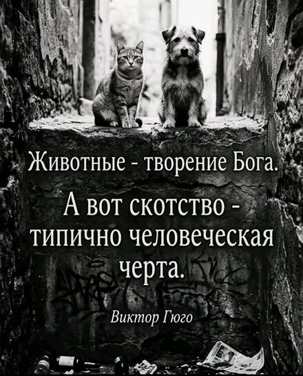 32357-68ce694950c78bc144bd1529e99d53d9.jpg