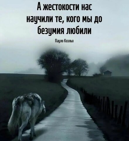 a5bec501c3f9cbad45f7f4faf4a4d0ba.jpg