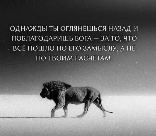 9f6fee6aefedea7f7d94c5bc773c0eae.jpg