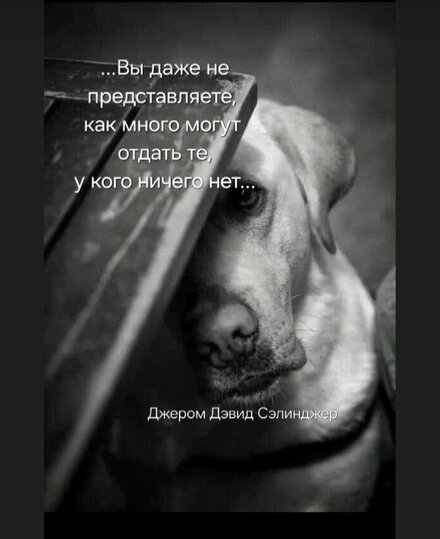 b7575f22f3cfcf092d94a17ab1d81b7f.jpg