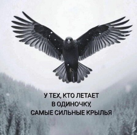 cb7b60a7afec0046e5a65684aaf2c765.jpg