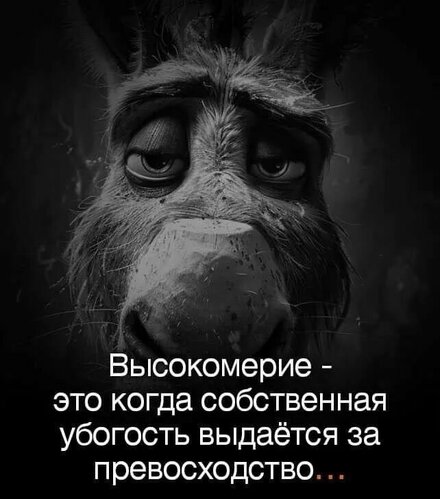 i (4).jpg