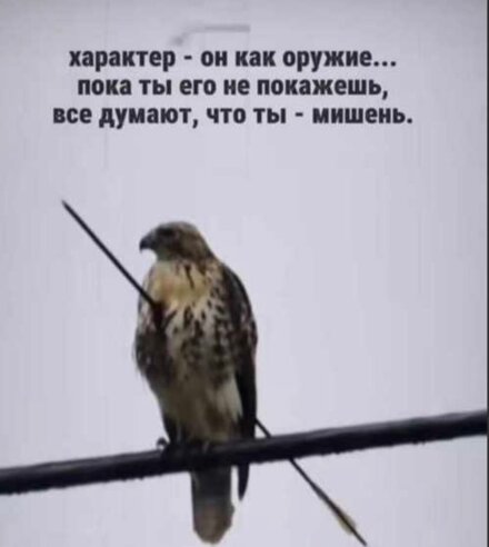 8fbcc5a1f88a5fbf07560259834a6453.jpg