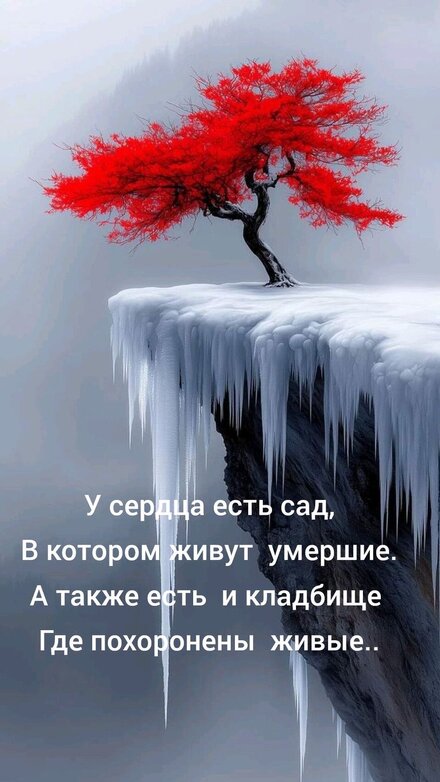 280df4a45830d8d121baf653c40624d9.jpg