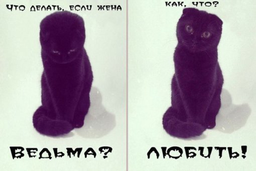 uoPsNEJxiIU.jpg