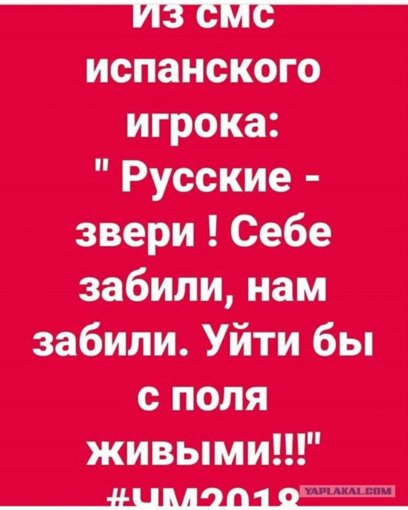 11723206.jpg