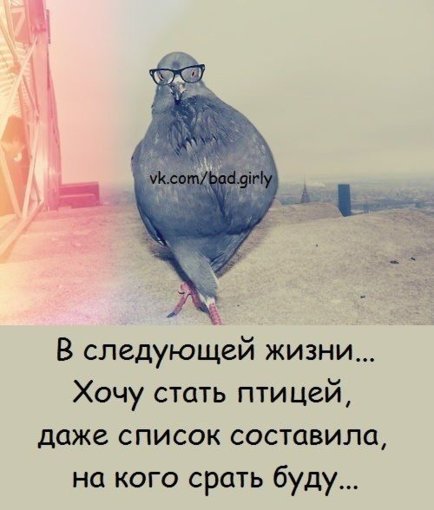 9A40A118-4898-4728-AC11-C3B04E35E3B8.jpeg 9A40A118-4898-4728-AC11-C3B04E35E3B8.jpeg