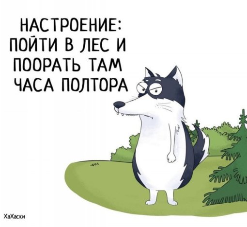 837d66e36498a1e2b13d4600562.jpg