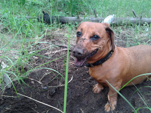 2013-06-02 04-40-05.JPG