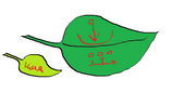 image.png image.png