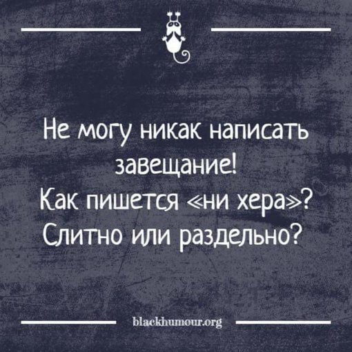 FB_IMG_1532872930776.jpg