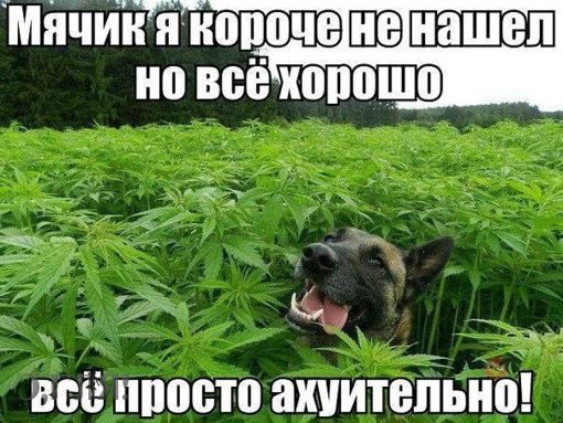 image (8).jpg image (8).jpg