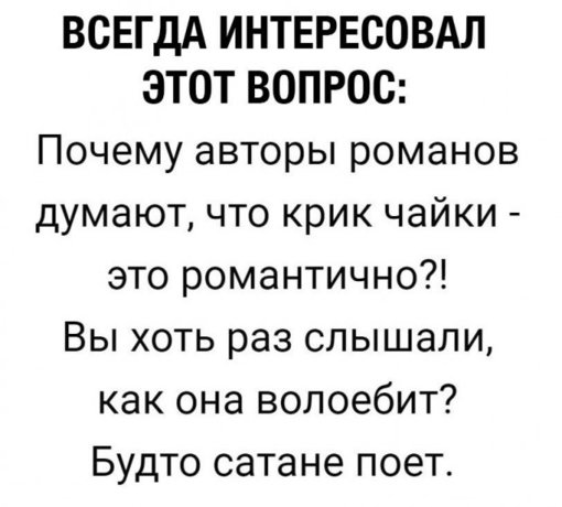 12054061.jpg 12054061.jpg