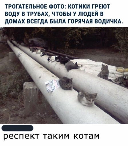 12055908.jpg 12055908.jpg