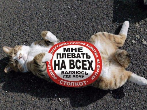 12075000.jpg