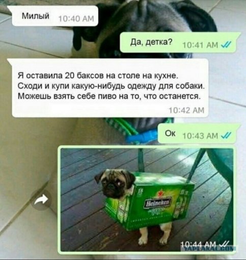 12086457.jpg