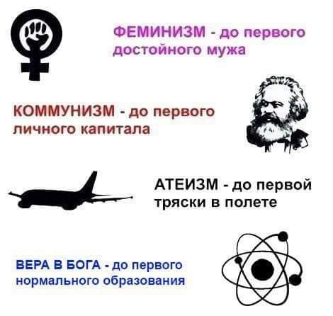 12150567.jpg