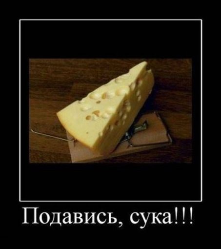 CF03C48F-26C7-4684-956F-ADDBDD9B48EC.jpeg