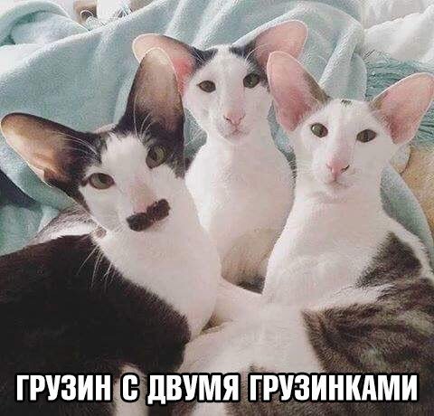 12207066.jpg 12207066.jpg