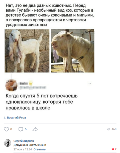 12341135.png 12341135.png