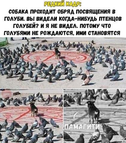 image.jpeg image.jpeg