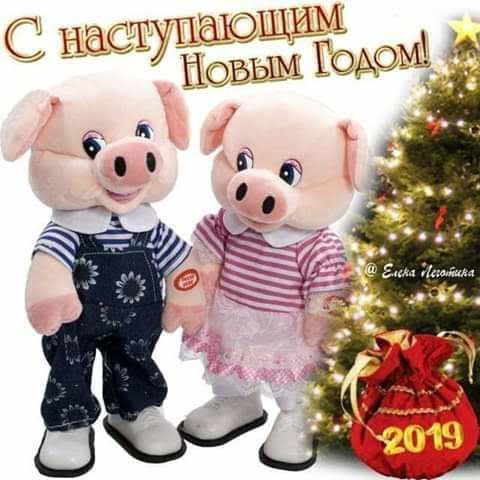 2DADC83A-76FD-4EAA-96F2-36871DA9126C.jpeg 2DADC83A-76FD-4EAA-96F2-36871DA9126C.jpeg