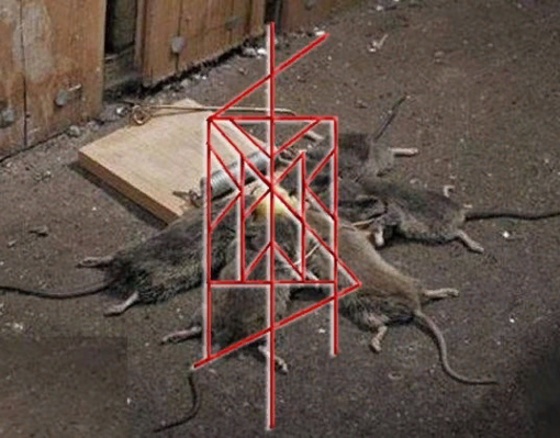 1548627295111.png 1548627295111.png