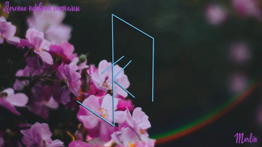 1550597208049.png