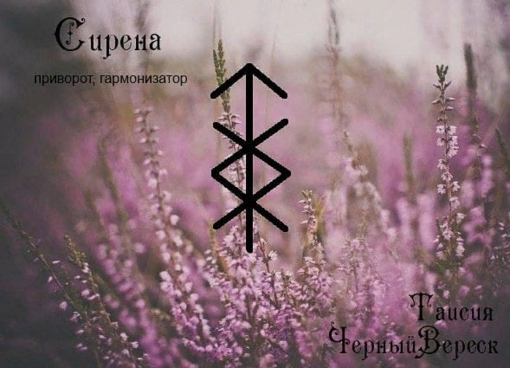1550781725579.png