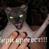 M@RF@