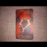 Pavel_x