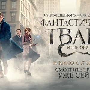 Фантастические твари и где они обитают - финальный трейлер