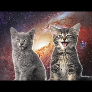 Space Cats — Magic Fly