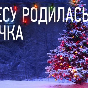 В ЛЕСУ родилась Елочка - детская НОВОГОДНЯЯ ПЕСНЯ